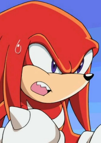 Knuckles the Echidna (Sonic X) photo