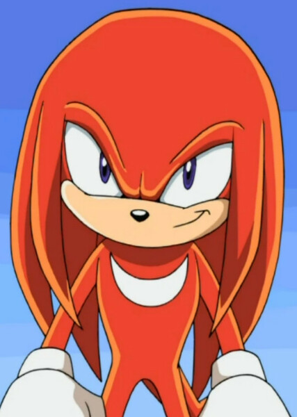 Knuckles the Echidna (Sonic X) photo