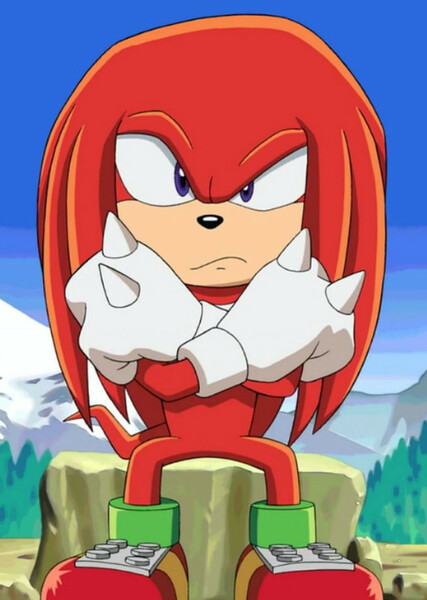 Knuckles the Echidna (Sonic X) photo