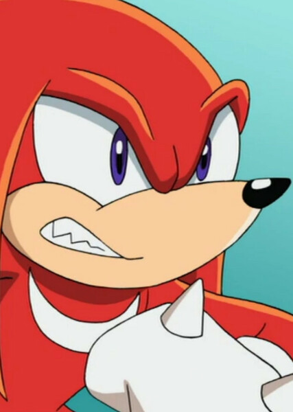 Knuckles the Echidna (Sonic X) photo