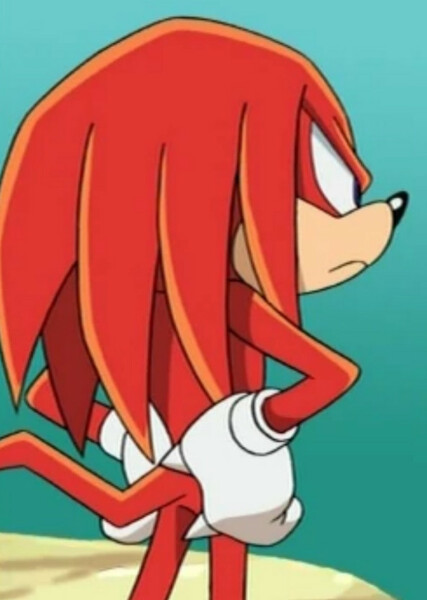Knuckles the Echidna (Sonic X) photo
