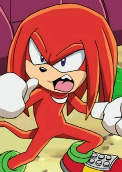 Knuckles the Echidna (Sonic X) photo