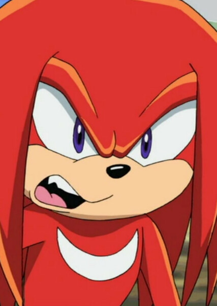 Knuckles the Echidna (Sonic X) photo
