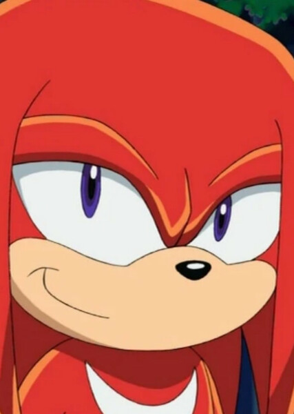 Knuckles the Echidna (Sonic X) photo