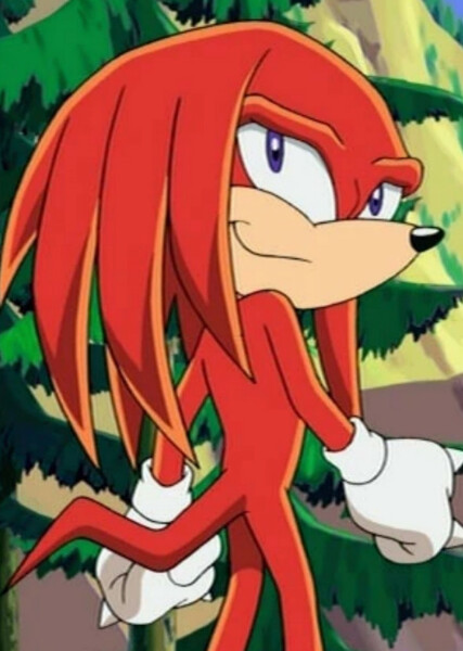 Knuckles the Echidna (Sonic X) photo