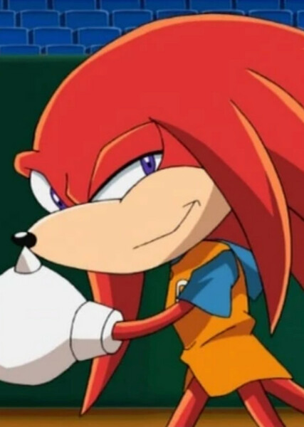 Knuckles the Echidna (Sonic X) photo