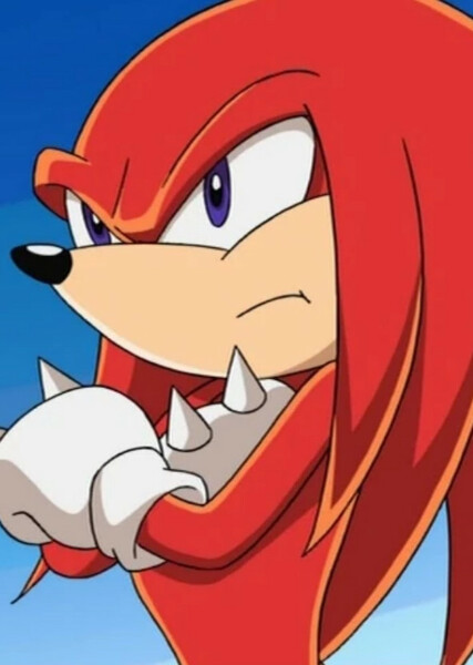 Knuckles the Echidna (Sonic X) photo