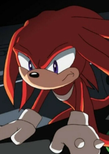 Knuckles the Echidna (Sonic X) photo