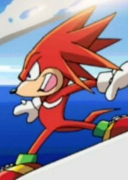 Knuckles the Echidna (Sonic X) photo