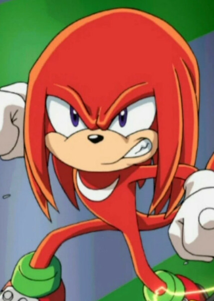 Knuckles the Echidna (Sonic X) photo