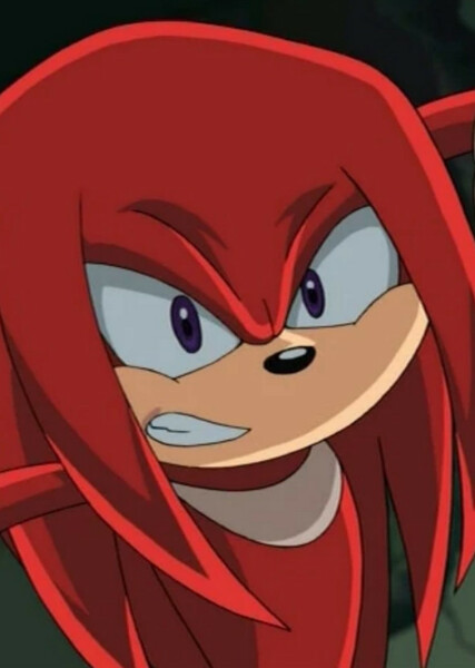 Knuckles the Echidna (Sonic X) photo