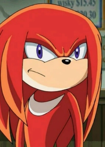 Knuckles the Echidna (Sonic X) photo