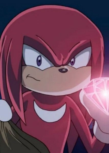 Knuckles the Echidna (Sonic X) photo
