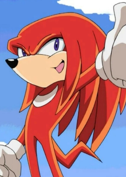 Knuckles the Echidna (Sonic X) photo