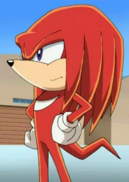 Knuckles the Echidna (Sonic X) photo
