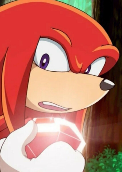 Knuckles the Echidna (Sonic X) photo