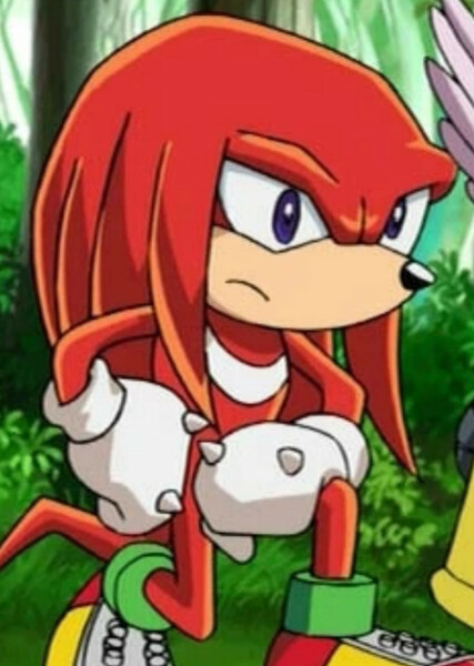 Knuckles the Echidna (Sonic X) photo