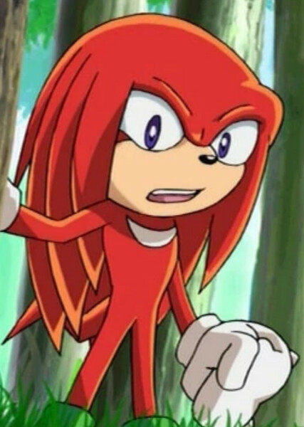 Knuckles the Echidna (Sonic X) photo