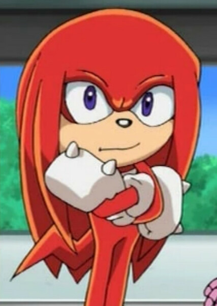 Knuckles the Echidna (Sonic X) photo