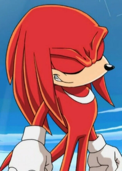 Knuckles the Echidna (Sonic X) photo