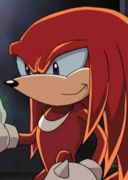 Knuckles the Echidna (Sonic X) photo