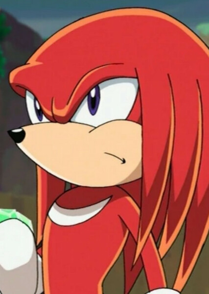 Knuckles the Echidna (Sonic X) photo