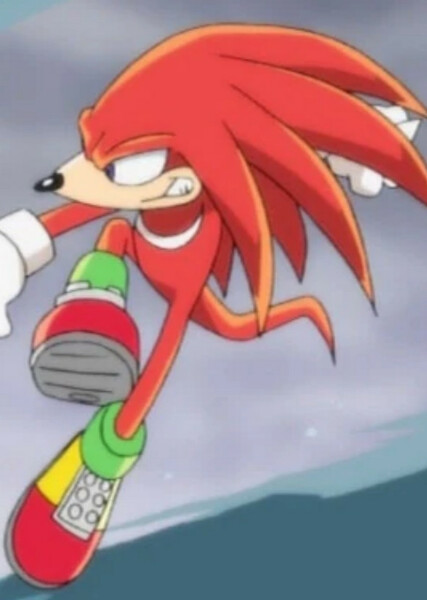 Knuckles the Echidna (Sonic X) photo