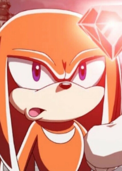Knuckles the Echidna (Sonic X) photo