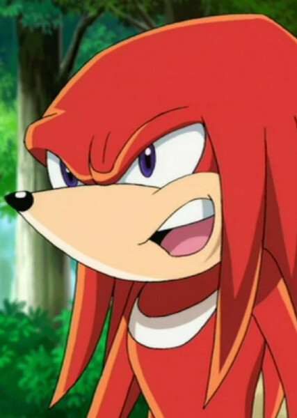 Knuckles the Echidna (Sonic X) photo