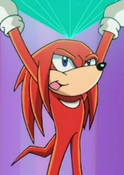 Knuckles the Echidna (Sonic X) photo