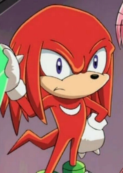 Knuckles the Echidna (Sonic X) photo