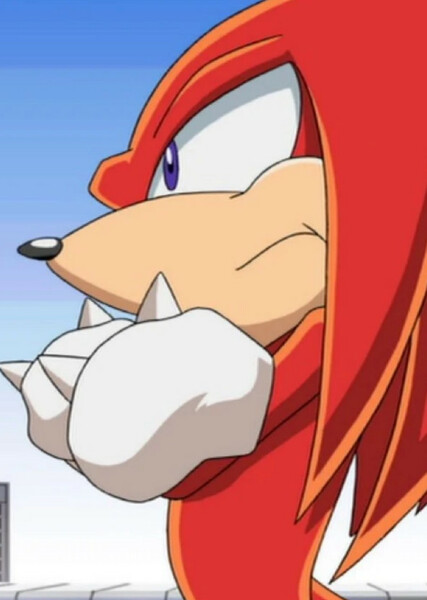 Knuckles the Echidna (Sonic X) photo