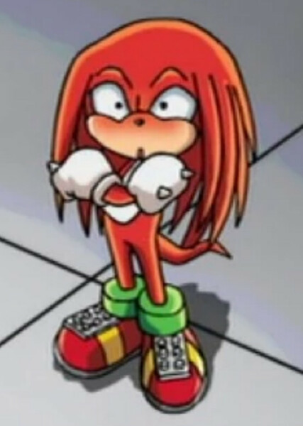 Knuckles the Echidna (Sonic X) photo