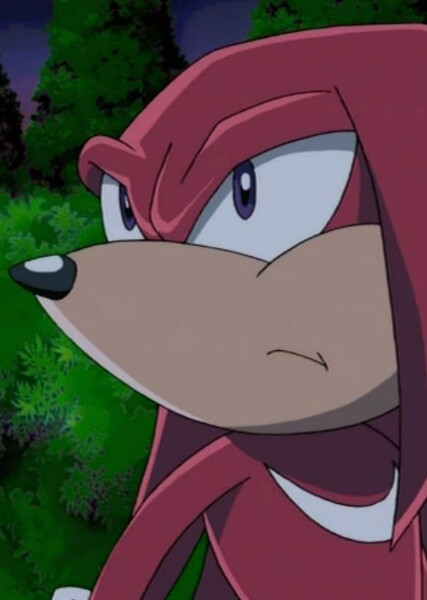 Knuckles the Echidna (Sonic X) photo