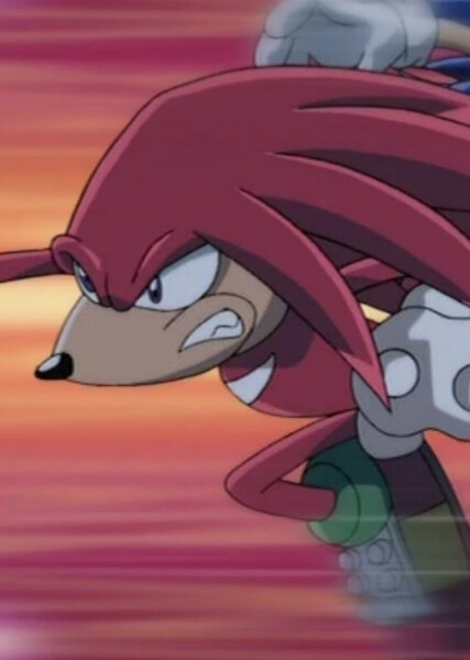 Knuckles the Echidna (Sonic X) photo
