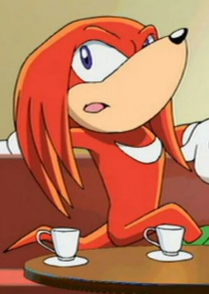 Knuckles the Echidna (Sonic X)