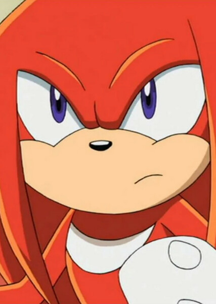 Knuckles the Echidna (Sonic X) photo