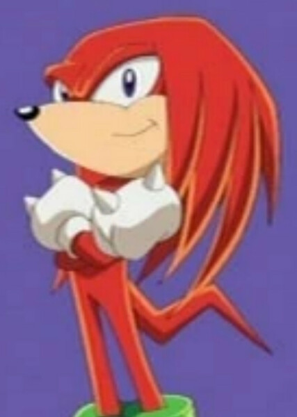 Knuckles the Echidna (Sonic X) photo
