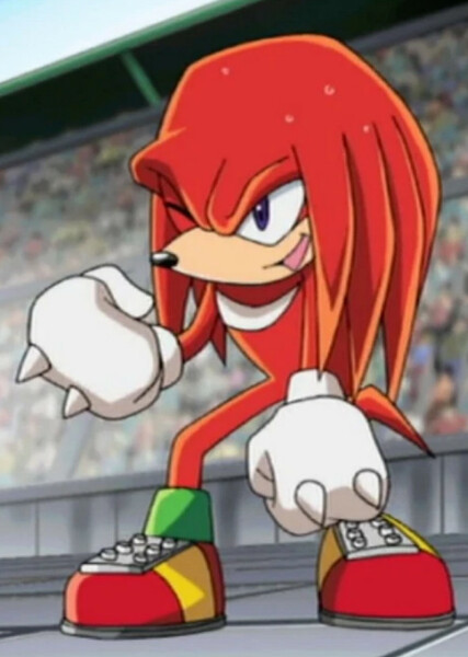 Knuckles the Echidna (Sonic X) photo