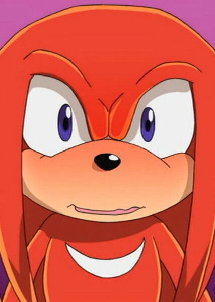 Knuckles the Echidna (Sonic X) photo