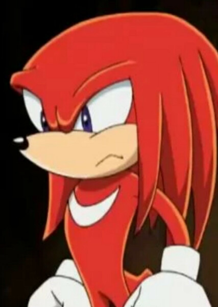 Knuckles the Echidna (Sonic X) photo