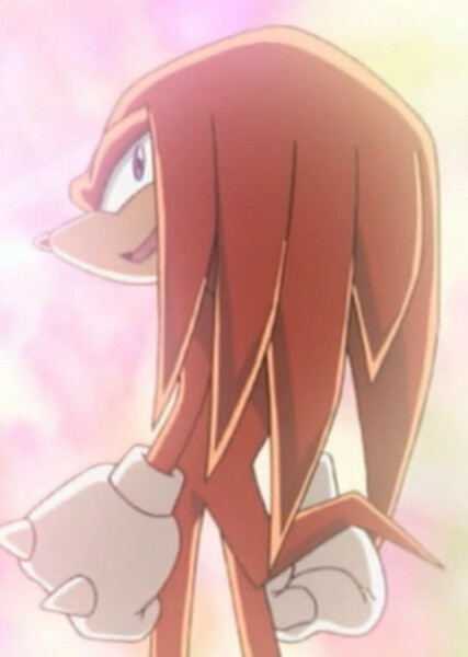 Knuckles the Echidna (Sonic X) photo