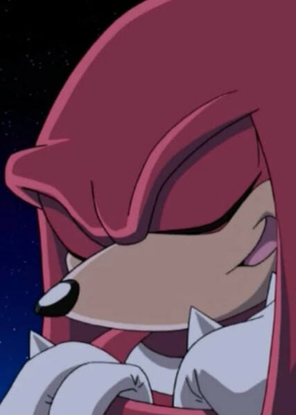 Knuckles the Echidna (Sonic X) photo