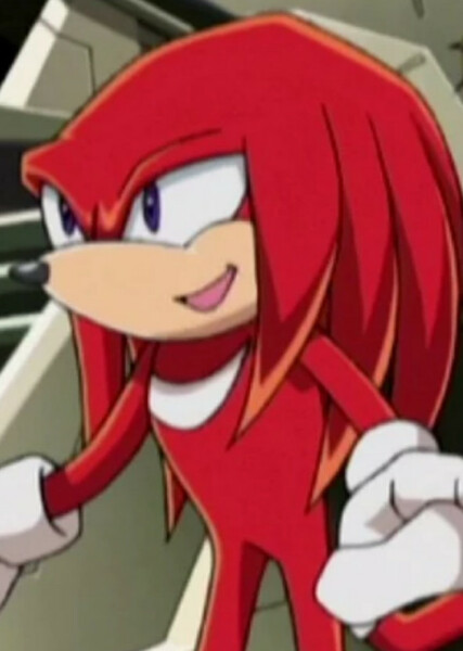 Knuckles the Echidna (Sonic X) photo
