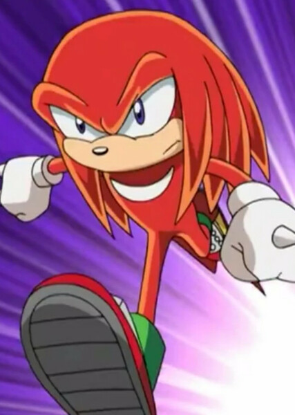 Knuckles the Echidna (Sonic X) photo