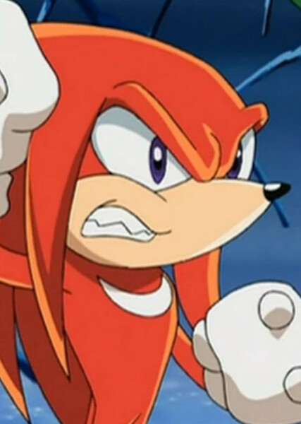 Knuckles the Echidna (Sonic X) photo