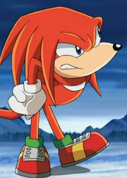 Knuckles the Echidna (Sonic X) photo