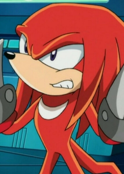 Knuckles the Echidna (Sonic X) photo