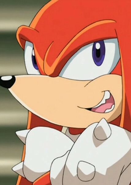 Knuckles the Echidna (Sonic X) photo