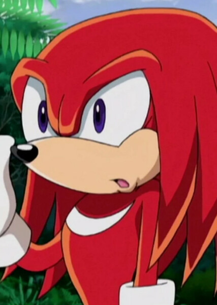 Knuckles the Echidna (Sonic X) photo